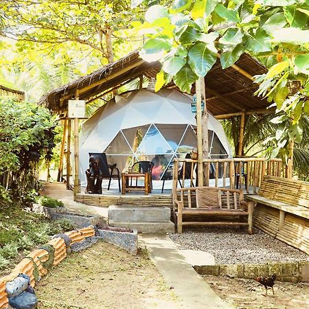 Eco Glamping Treehouses Closest Resort To All Tourist Attractions Balilihan Екстер'єр фото