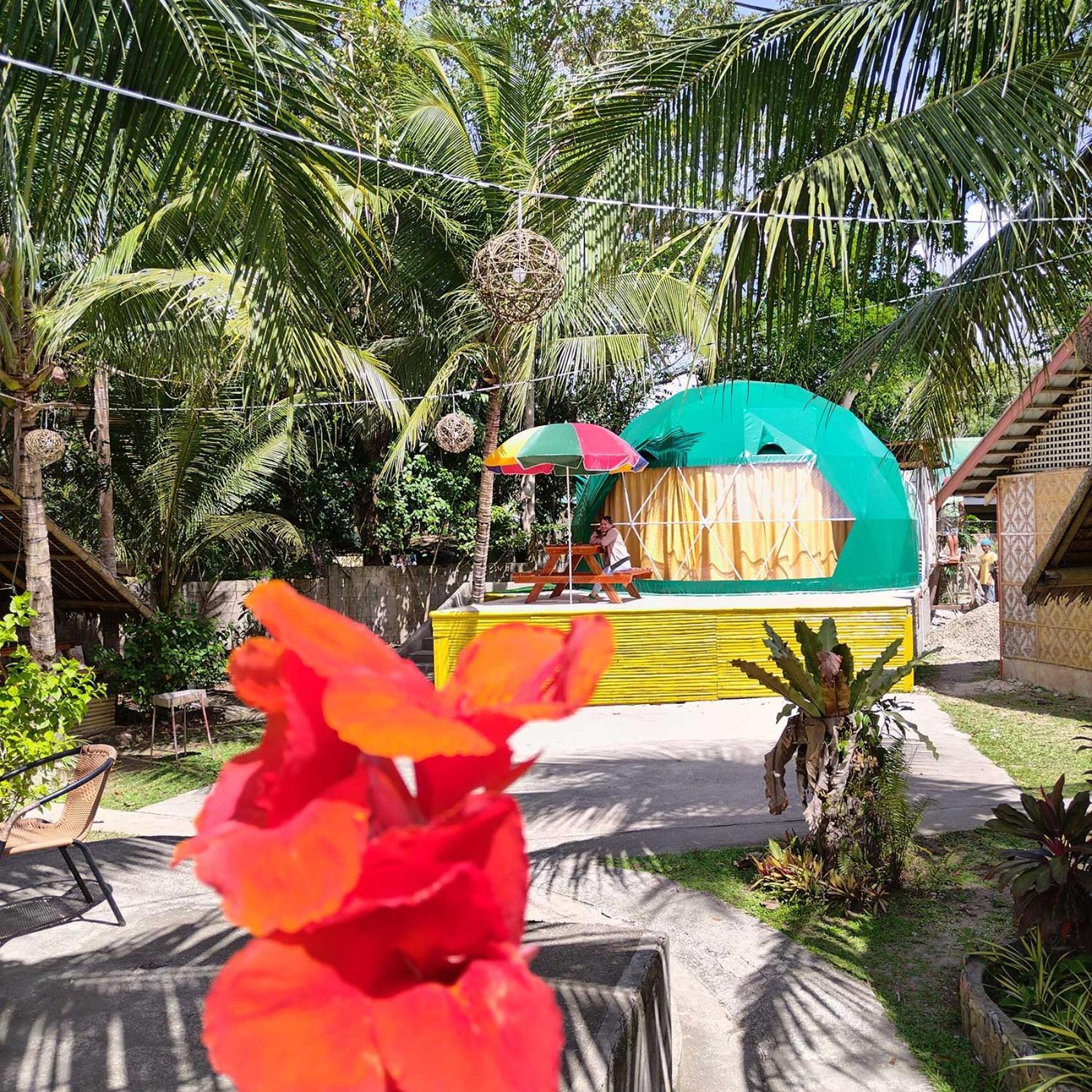 Eco Glamping Treehouses Closest Resort To All Tourist Attractions Balilihan Екстер'єр фото